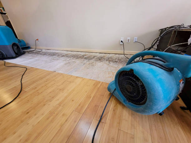 Professional Water Removal technician working in Van Buren, OH